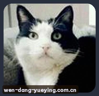 孙鹏